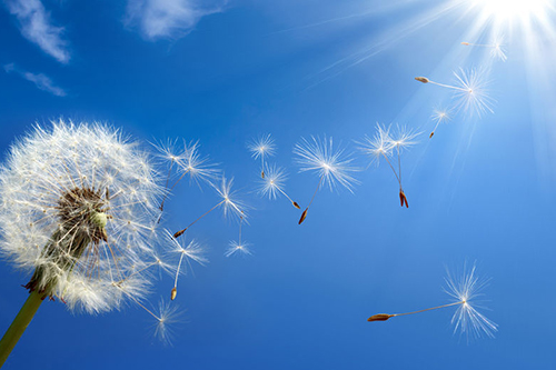 Gründung & Start-ups